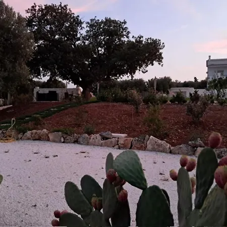 아파트호텔 'la Quercia' 치스테르니노